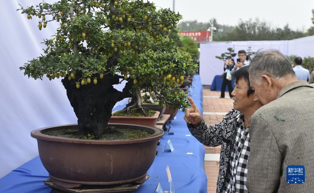 捕鱼大亨网页版